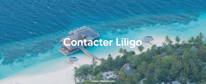 Vue aérienne d'un hôtel situé sur une plage paradisiaque avec des palmiers.